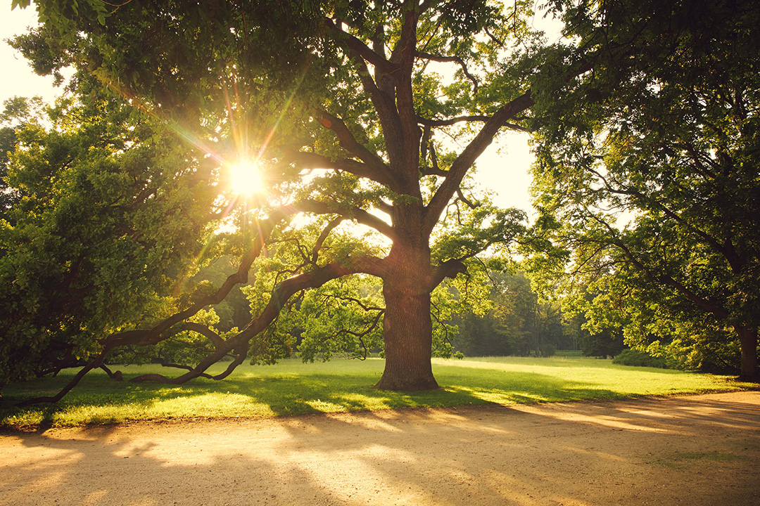 Connect Counselling Belper