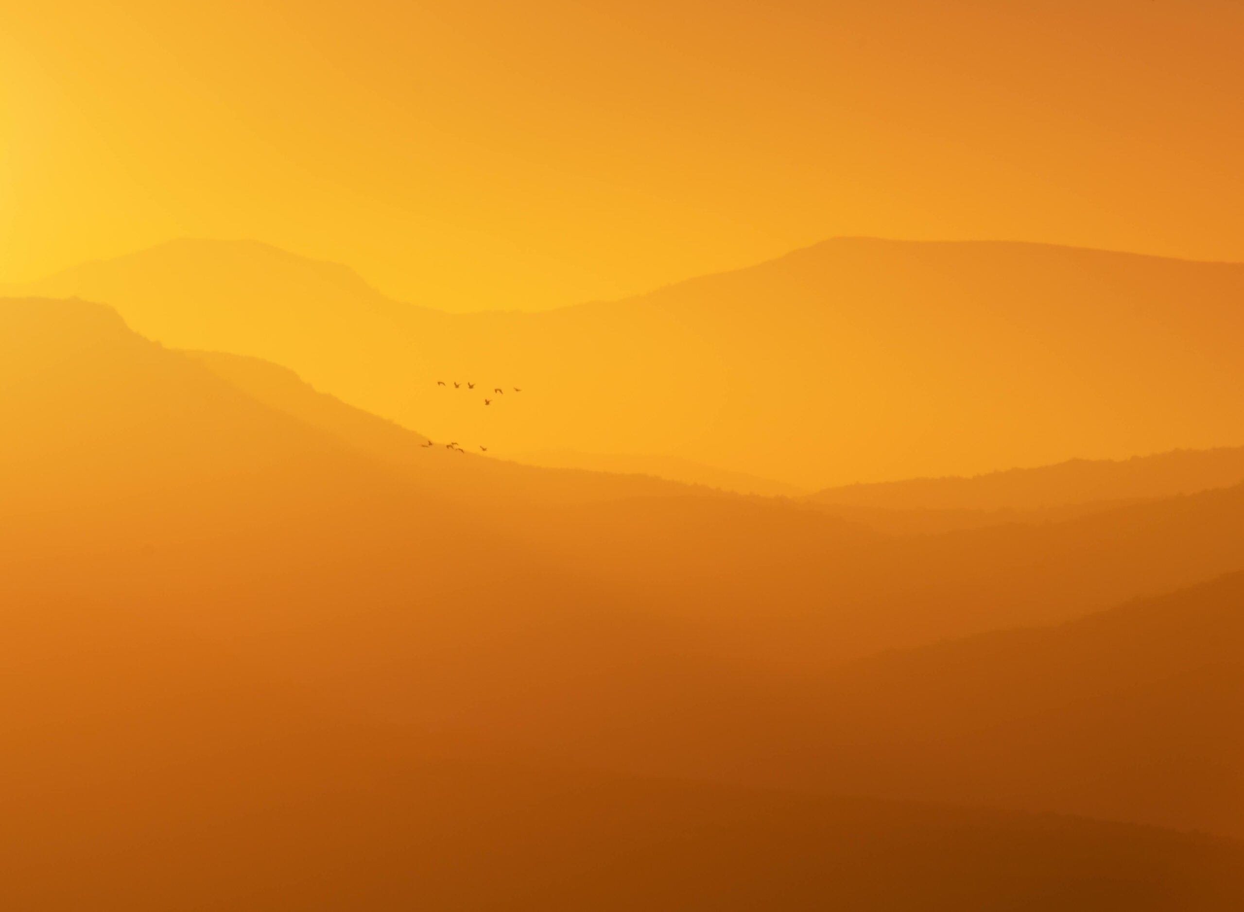 Connect Counselling Belper